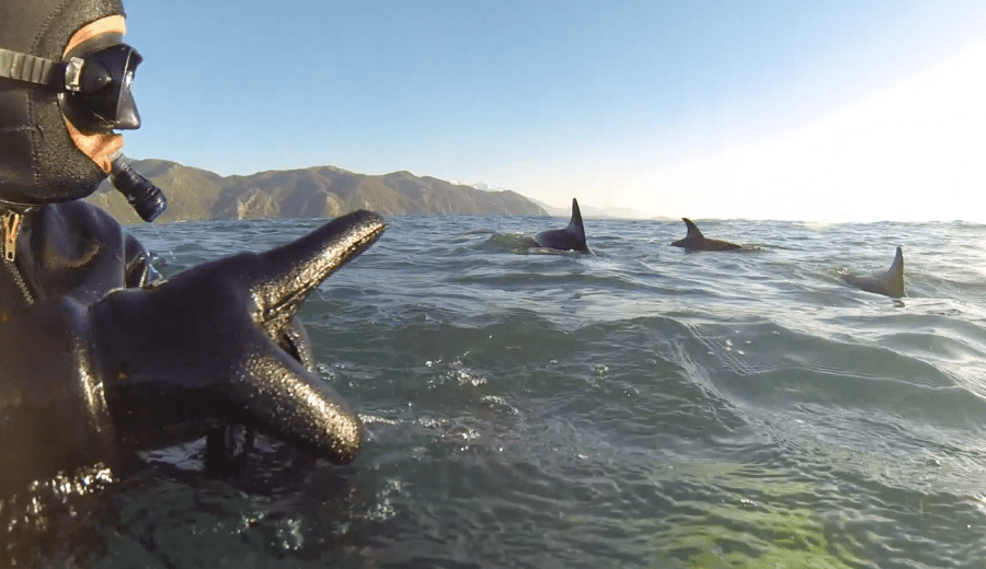 Screen Shot 2017-11-11 at 12.30.57 pm