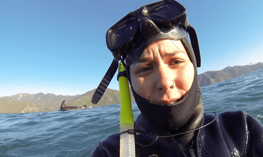 Screen Shot 2017-11-11 at 12.32.06 pm