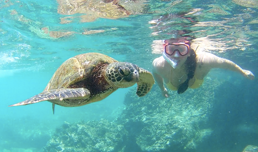 Screen Shot 2018-06-13 at 6.04.39 pm